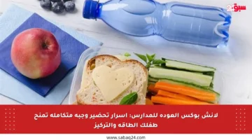 لانش بوكس العودة للمدارس: أسرار تحضير وجبة متكاملة تمنح طفلك الطاقة والتركيز